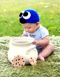 Cookie Monster Hat And Cookies